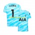 Camisola Tottenham Hotspur Hugo Lloris 1 Guarda-redes Homem Equipamento Primeiro 2023-2024 Manga Curta